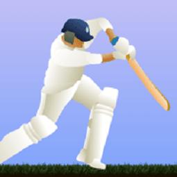 Play Cricket games | Friv 2020.games