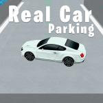 Real Car Parking 3D 